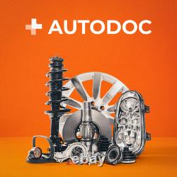 DAYCO Kit de distribution KTB767 pour LAND ROVER Freelander SUV (L314)