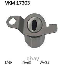 Kit De Courroie SKF Compatible Avec LAND ROVER FREELANDER MG MG ROVER 25 45