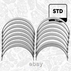 Kit de coussinets de bielle LAND ROVER 4,4 3,6 6Q6211AA 6Q6211BB 368DT(LION)