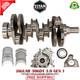 Land Rover Jaguar 3.0 306dt Tdv6 Vilebrequin + Pompe &Agrave; Huile G&eacute;n 1 Kit